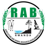 RAB