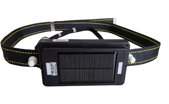 Cowsafe Collar